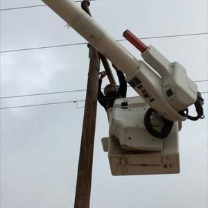 Meet your Posher, Benny